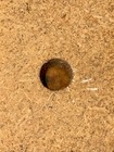 Bild 10 von 24