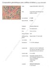 Bild 6 von 11
