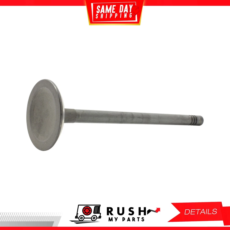 Válvula de admisión 92-96 para Ford Mercury Escort 1,9 L L4 SOHC 8v DNJ IV4125 Foto 3 de 4