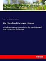 The Principles Of The Law Of Evidence Horace G. Wood