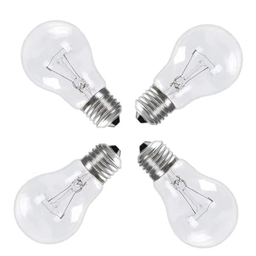 A19 Clear Incandescent Rough Service Light Bulb, 100 Watt Incandescent Light
