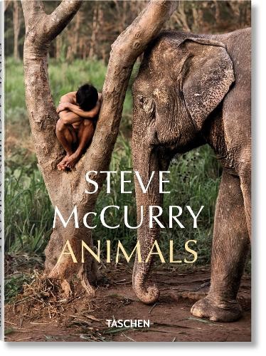 Steve McCurry by Reuel Golden, Steve McCurry - 9783836597036