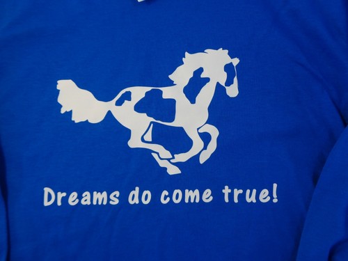 Paint Horse Dreams Do Come True! Long Sleeve T-shirt Choice of size and color - Picture 1 of 6
