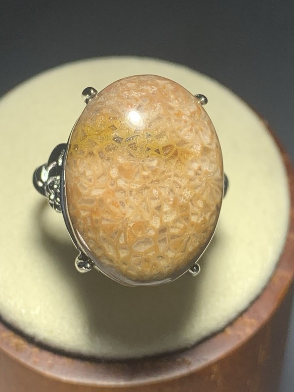 Natural Silicified Coral Fossil Flower Agate Ring/ Adjustable /