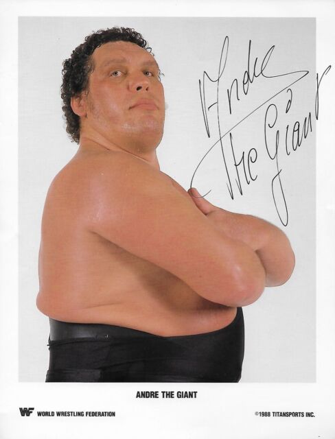 Andre the Giant WWF 8x10 autograph photo Reprint FREE SHIPPING!