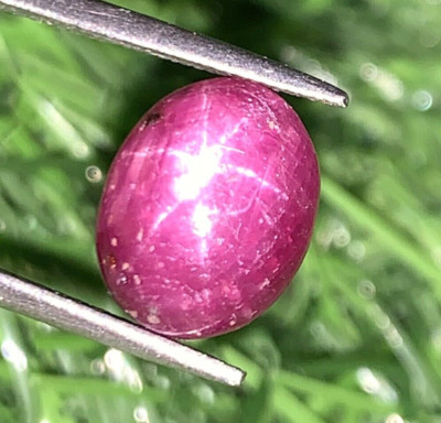 Natural Fine Ruby Star Six Rays Cabochon 8.75 Cts Handmade Loose Gemstone Ruby.
