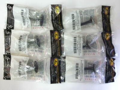 Triumph T150 Tôt Valve Set Black Diamant Kibblewhite 1969 70 71 72 Einlass & Ex