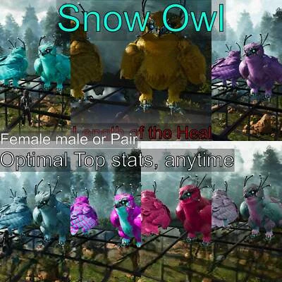 MY ARK ASCENDED ASA🦖Ark Survival Ascended Pve Snow Owl Healer Max Level 362 / Solids / TOP