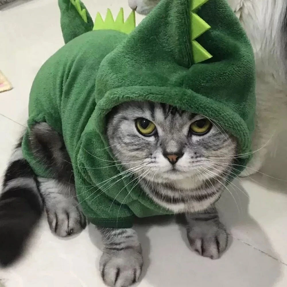 Disfraz para Perro y Gato divertido con capucha de lana para el