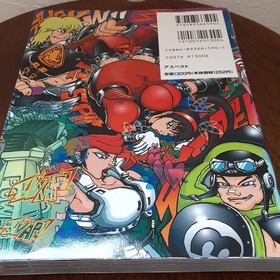 Fighting Vipers Fighting BOOK  JAPANESE /   Sega Saturn Manual Biting the Vipers