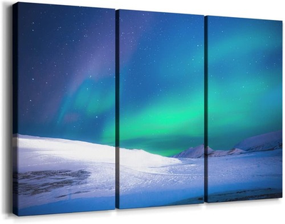 #ad #ad Renditions Gallery Northern Lights Wall Art Nature Snow Landscape Print 12x24 $86.05