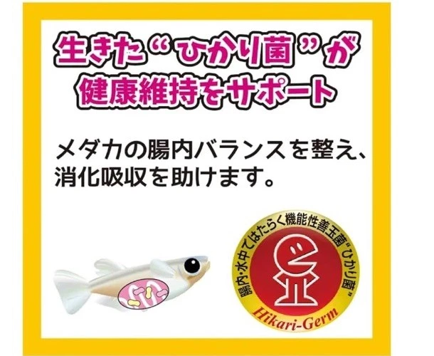 🟡2 juegos Hikari Medaka alimento de temporada de cría Killifish japonés 40 g alimento para peces Kyorin Foto 2 de 4