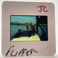 Flipper diapositiva 35mm anni 60 serie tv show vintage promozione pubblicitaria #2