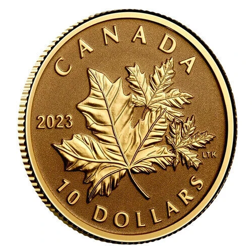 🇨🇦 2023 Canada 1/20 oz. Pure Gold Coin  - Everlasting Maple Leaf 🍁 - Image 3 of 4