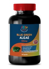 algae dietary supplement - Blue Green Algae 500mg - energy boosting vitamins 1B