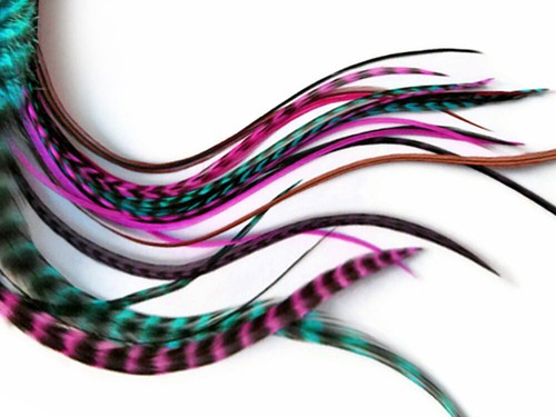 1 Dozen - Medium Magenta Grizzly Rooster Saddle Whiting Hair Extension Feathers - Picture 4 of 5