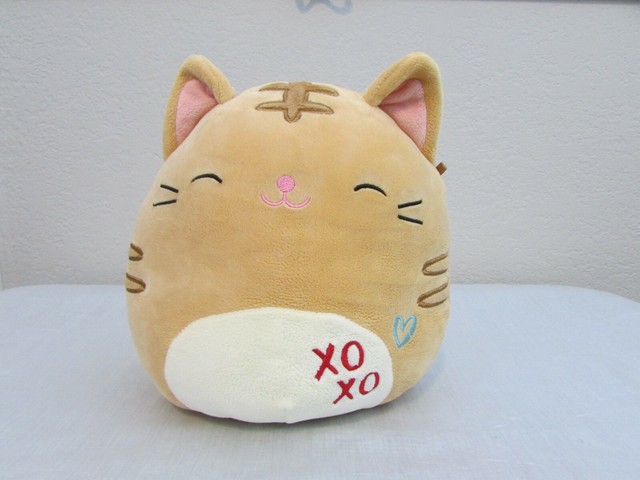 tabby cat squishmallow name