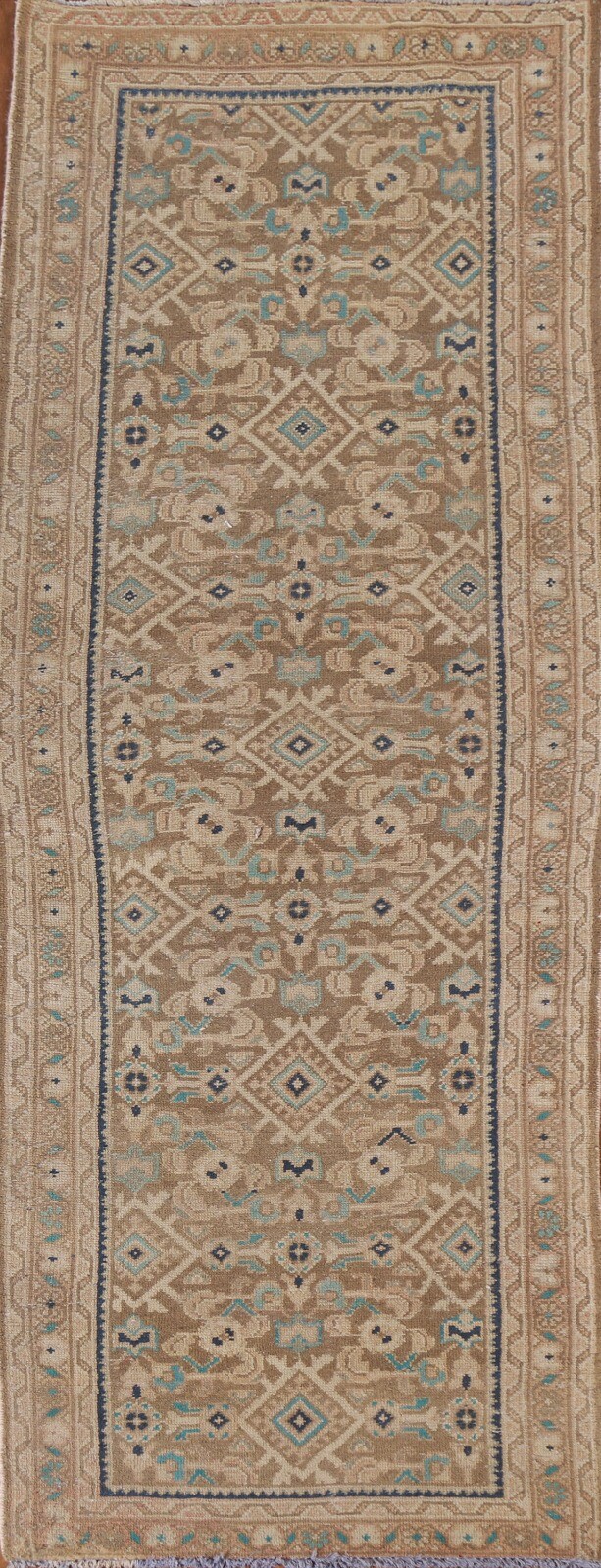 Foto 1 di 12