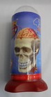 Human Body 4D Brain CRANIAL NERVE SKULL Anatomy Model Biology STEM Science Toy — photo 2