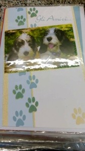 Nuovo Auguri Biglietti E Busta Buon Compleanno Amicizia Stock Prezzo Speciale Ebay