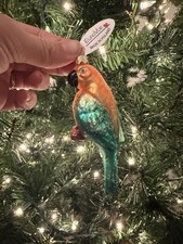 OldWorld Christmas Sun Conure Parrot Ornament BlownGlass HandPainted Collectible