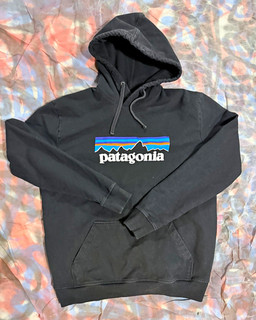 Patagonia Men's Black Pullover Hoodie size Large box logo