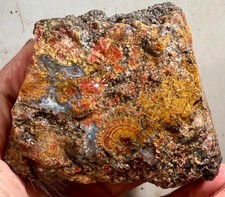 Unknown Colorful Plume Agate Rough!