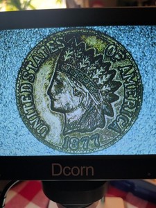 Mini Indian Head cent 1877 Novelty Coin