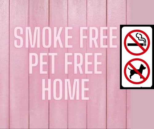 BOY'S Size 5 AIRWALK-SIDEKICK CANVAS FABRIC SKELETON SLIP ON BLACK ATHLETIC NEW - Picture 18 of 23