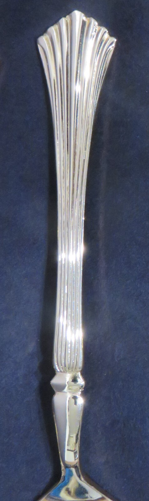 Picture 10 of 10