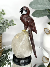 Hand Carved Red Wine Quartz Macaw Parrot in Crystal Base 8