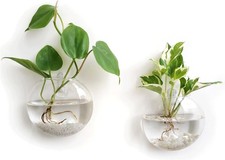 Wall Propagation Planters 2 Pack Oblate Hanging Plant Holder Vase Glass