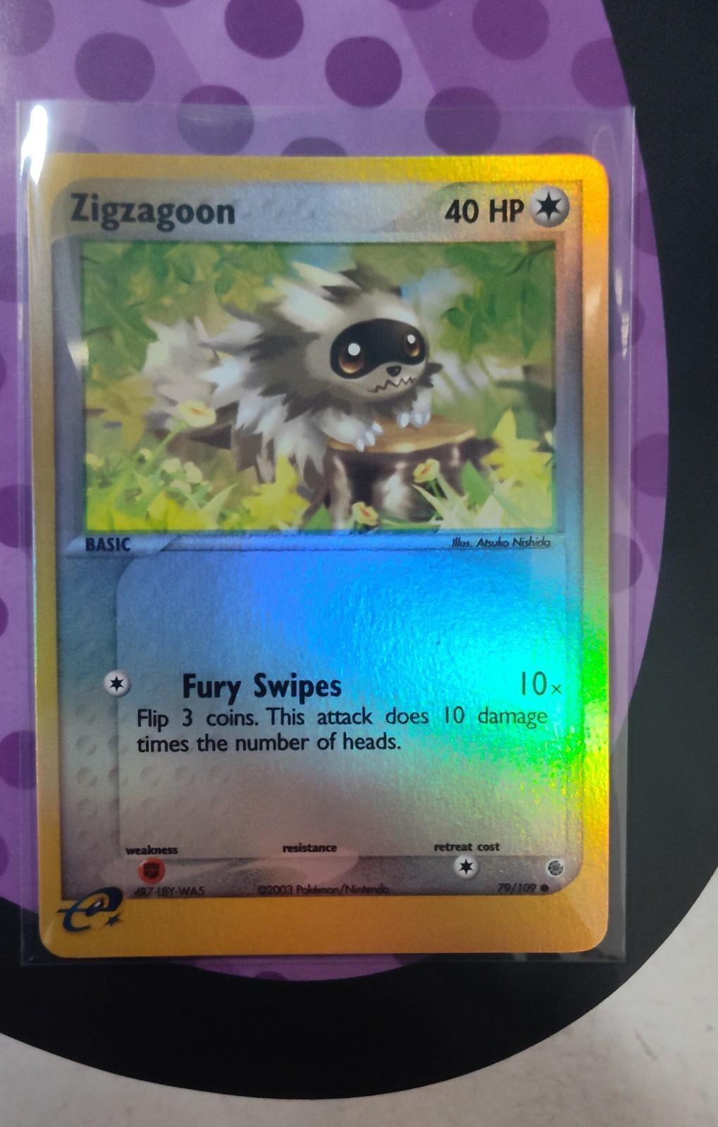 2003 Zigzagoon 79/109 Ruby and Sapphire Reverse Holo eReader Card NM