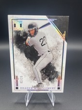 2025 Panini Impeccable - Braden Montgomery #63 Silver /25 (RC)