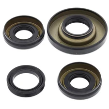 Bearing overhaul kit diff. ALL BALLS ant. for Honda TRX FA RUBICON 500 2001-