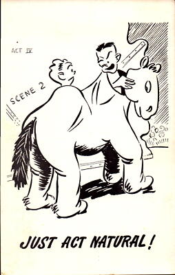 Vintage Postcard comic card Just Act Natural Horse Costume Unused
