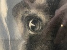 Foto 10 di 20