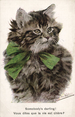 PC CATS, ARTIST SIGNED, SOMEBODY'S DARLING, Vintage Postcard (b47082)