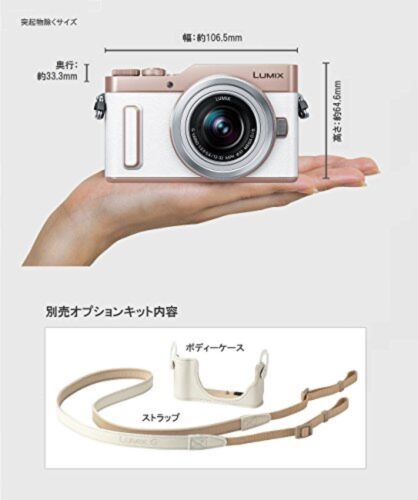 Panasonic mirrorless single-lens Lumix GF10 double lens kit white DC-GF10W-W