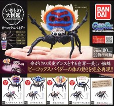 BANDAI Peacock Spider Figure Full Set 5 Types The Diversity of Life Capsule Toy