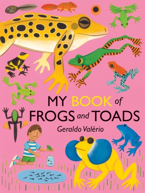 My Book of Frogs and Toads by Geraldo Valerio (Hardback Book)