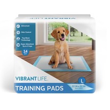 Training Pads   Super Absorbent Leak Proof  Fast Dry Dog  Puppy Pee Pads   L
