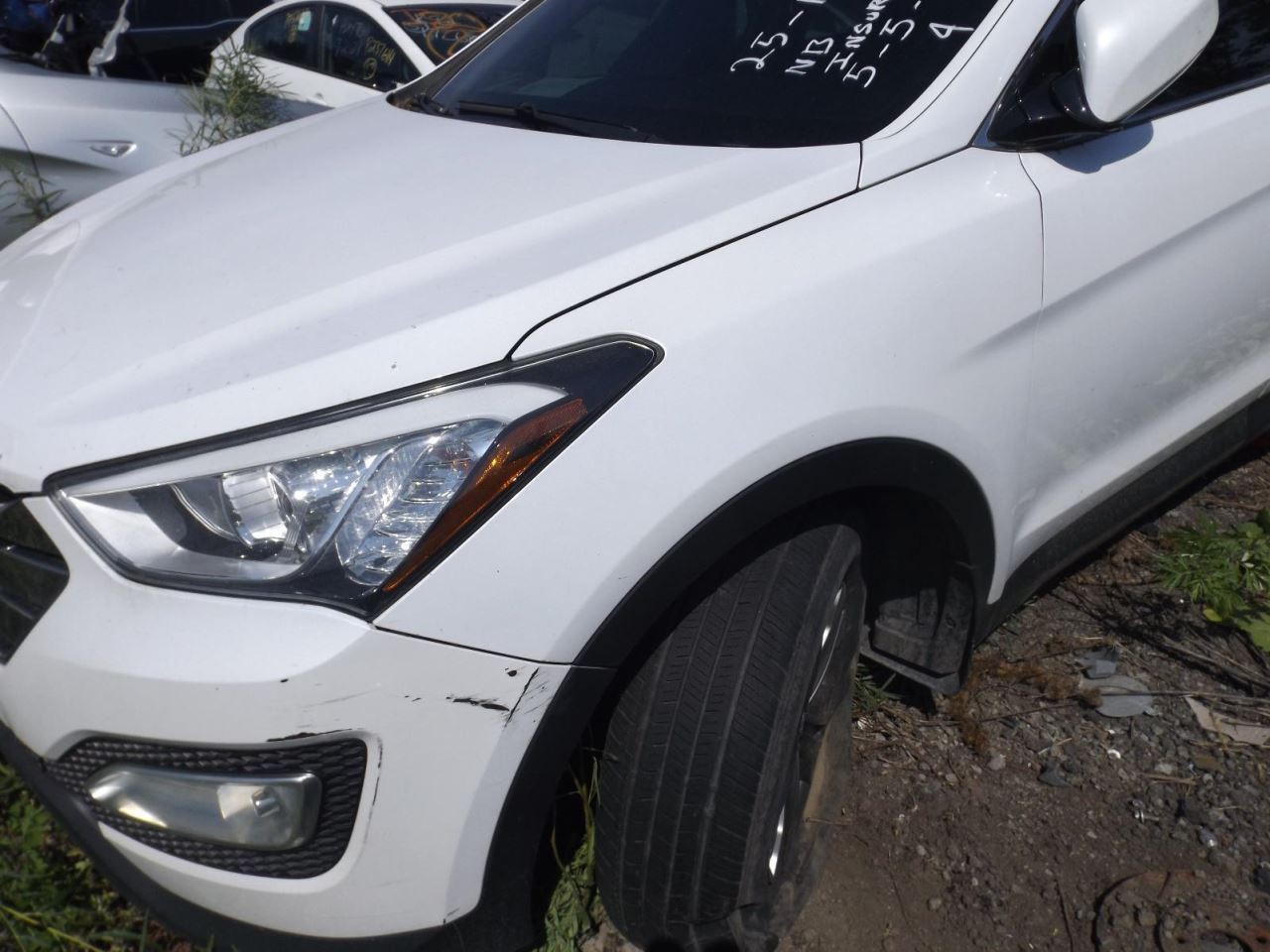 Driver Left Front Door LWB Fits 13-19 SANTA FE 1643982