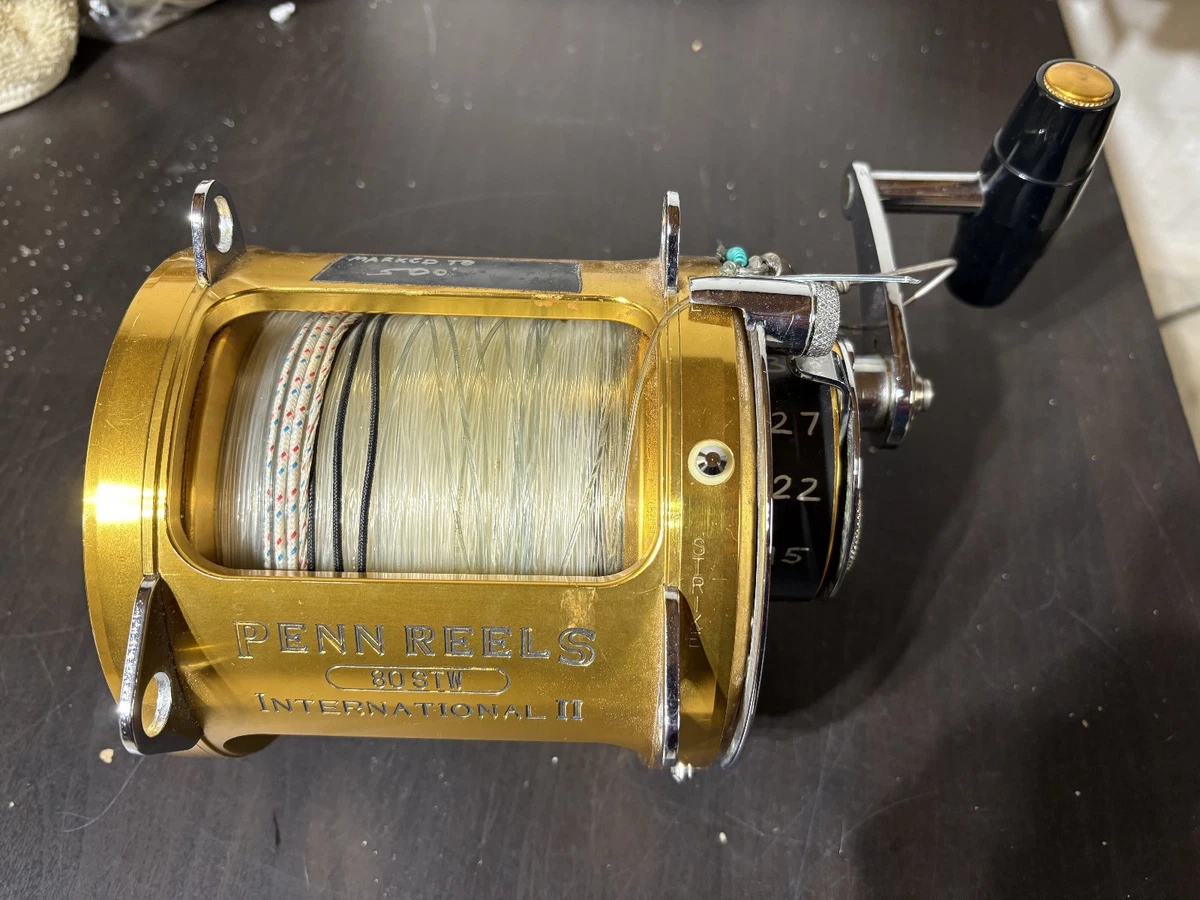 Preços baixos em Penn International 80 Molinetes de pesca para