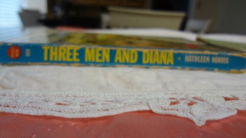 TOLLE EINBÄNDE 2er Set TASCHENBÜCHER - DREI MÄNNER UND DIANA und BEMALTER SCHLEIER - Bild 3 von 4