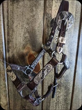 Miniature Horse Show Halter - Silver w/Black Inlay - Matching Lead Shank