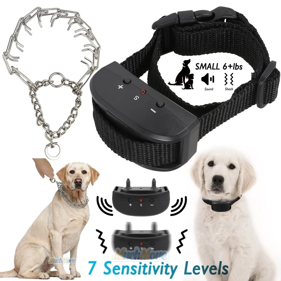Anti bark top shock collar