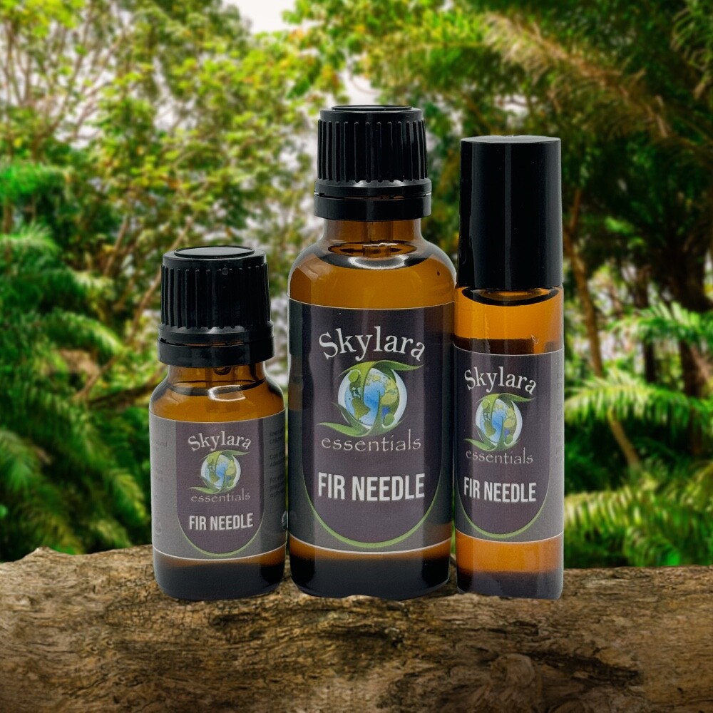- Free Shipping