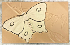 White Butterfly Heavily Embossed Divided Back Postcard 2489