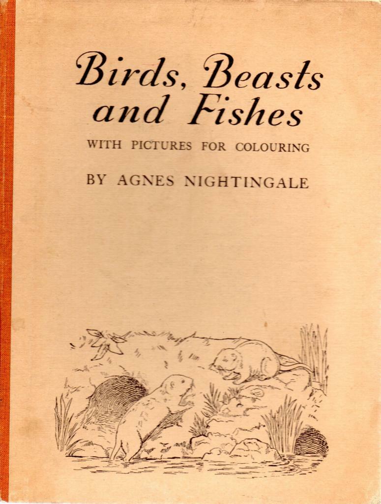 Animal Life - Agnes Nightingale - A & C Black - Acceptable - Hardcover